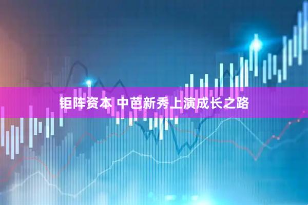 钜阵资本 中芭新秀上演成长之路