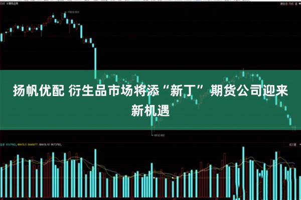 扬帆优配 衍生品市场将添“新丁” 期货公司迎来新机遇