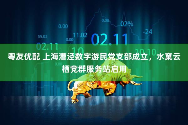 粤友优配 上海漕泾数字游民党支部成立，水窠云栖党群服务站启用