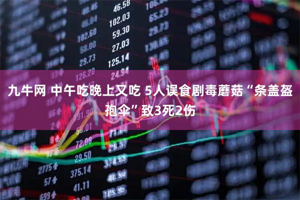 九牛网 中午吃晚上又吃 5人误食剧毒蘑菇“条盖盔孢伞”致3死2伤