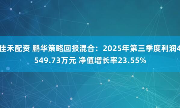 佳禾配资 鹏华策略回报混合：2025年第三季度利润4549.73万元 净值增长率23.55%
