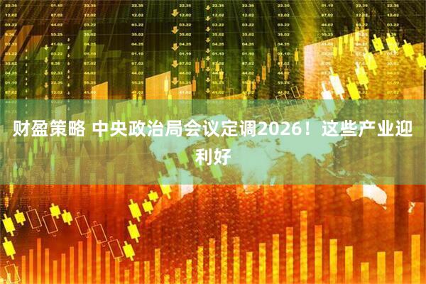 财盈策略 中央政治局会议定调2026！这些产业迎利好